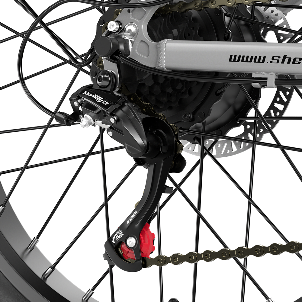 Shengmilo S600 Bicicletta Elettrica a Doppio Motore 2000W