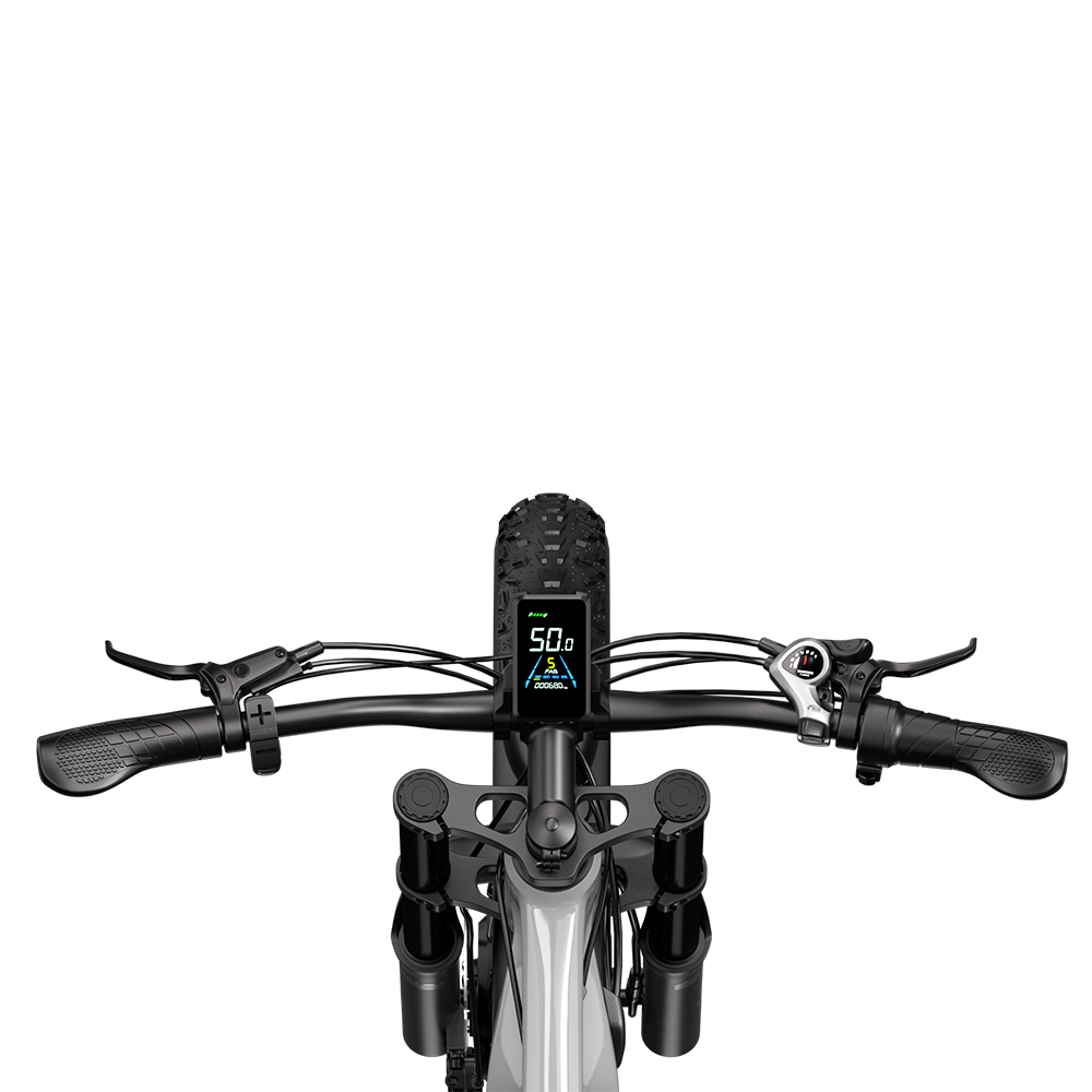 Shengmilo S600 Bicicletta Elettrica a Doppio Motore 2000W