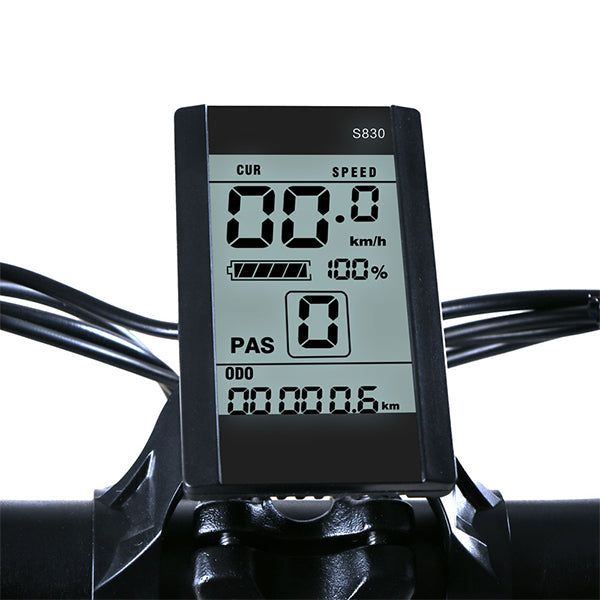 Pantalla LCD SAMEBIKE