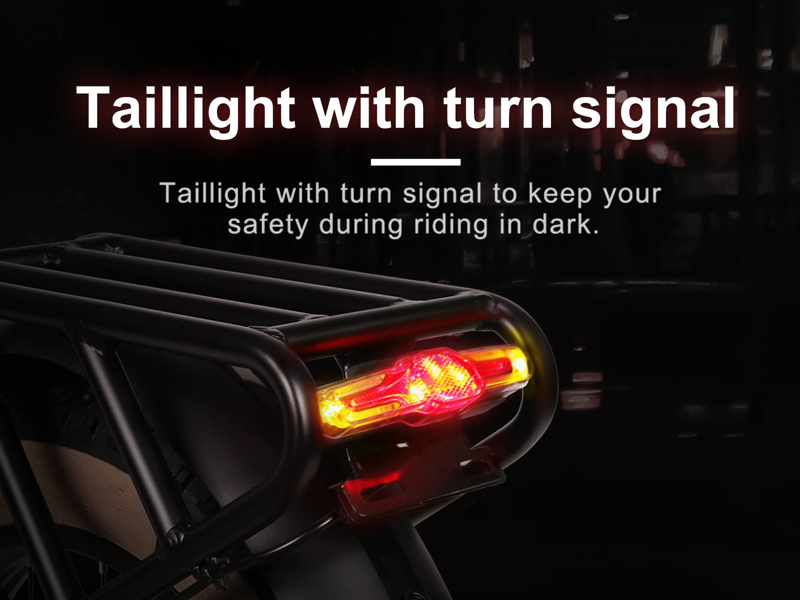 XWLX09-II 1000W Fat Tire Mountain Ebike