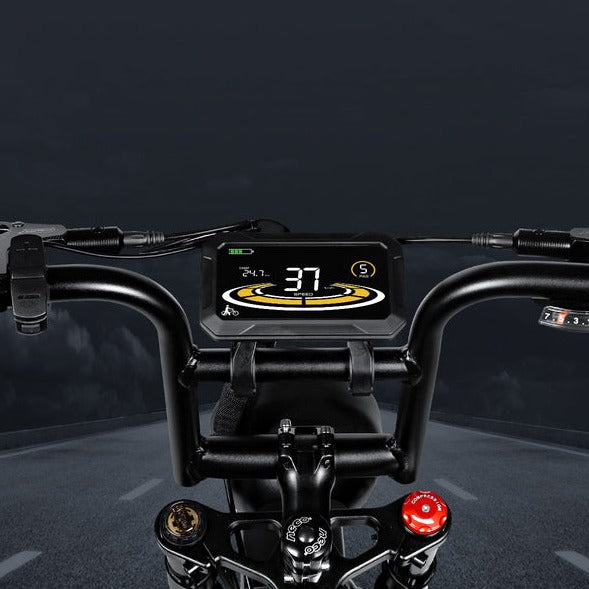 M20-III 2000W Elektrisk Cykel