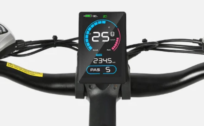 Pantalla LCD SAMEBIKE