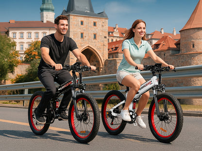 LO26 Plus Fat Tire Folding Ebike