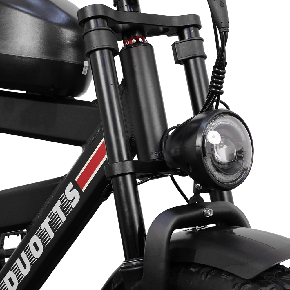 DUOTTS F20 20" Off Road Electric Bike 750W Motor 52V 27Ah Battery