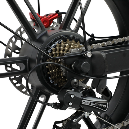 DUOTTS F20 20" Off Road Electric Bike 750W Motor 52V 27Ah Battery