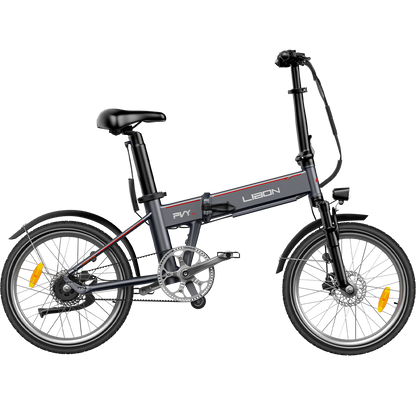 PVY LIBON（副kopi）