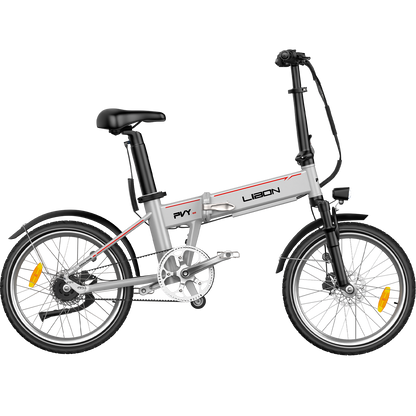 PVY LIBON（副kopi）