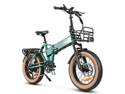 XWLX09-II 1000W Fat Tire Mountain Ebike