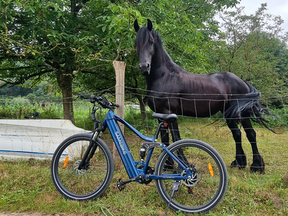 XD26-II hybrid elsykkel