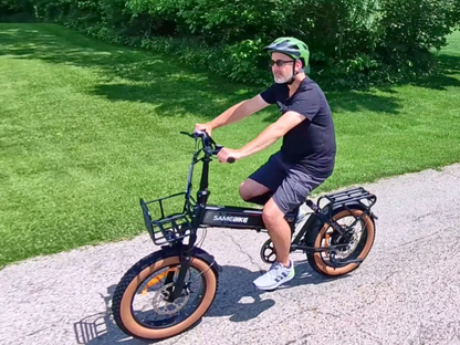 XWLX09-II 1000W Fat Tire Mountain Ebike