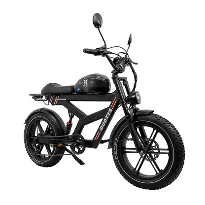 DUOTTS F20 20" Off Road Electric Bike 750W Motor 52V 27Ah Battery