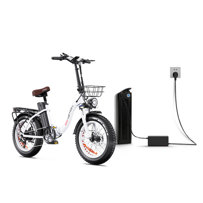 Drvetion CT20 20AH+20AH Dubbla batterier