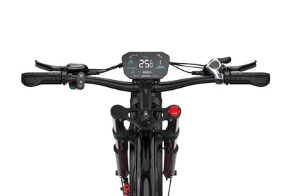 DUOTTS N26 Electric Bike Ship to US