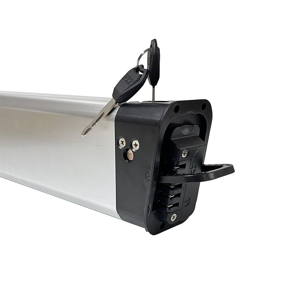 Batteria Samsung 50E 48V 10AH Per BT20