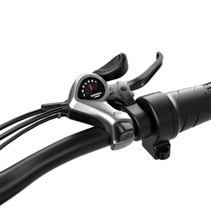 Shengmilo S600 Bicicletta Elettrica a Doppio Motore 2000W