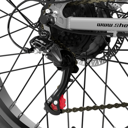 Shengmilo S600 Bicicletta Elettrica a Doppio Motore 2000W