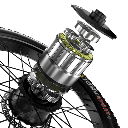 Shengmilo S600 Bicicletta Elettrica a Doppio Motore 2000W