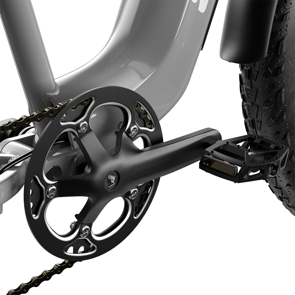 Shengmilo S600 Bicicletta Elettrica a Doppio Motore 2000W