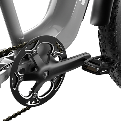 Shengmilo S600 Bicicletta Elettrica a Doppio Motore 2000W