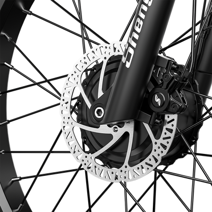 Shengmilo S600 Bicicletta Elettrica a Doppio Motore 2000W