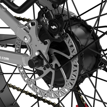 Shengmilo S600 Bicicletta Elettrica a Doppio Motore 2000W