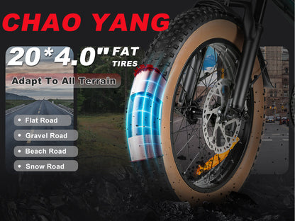 XWLX09-II 1000W Fat Tire Mountain Ebike