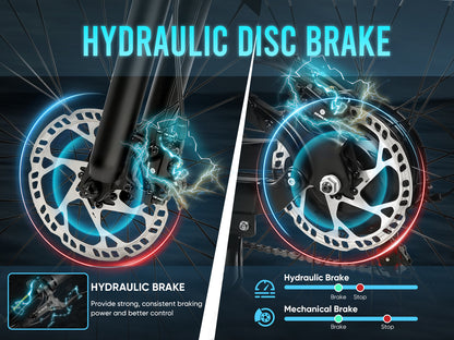 LO26 Plus Fat Tire Folding Ebike