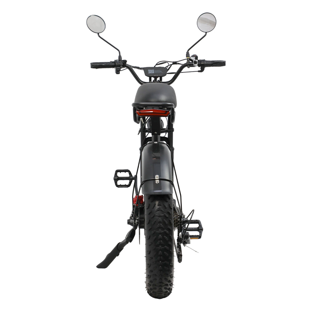 DUOTTS F20 20" Off Road Electric Bike 750W Motor 52V 27Ah Battery