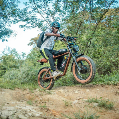 M20-III 2000W Elektrisk Cykel