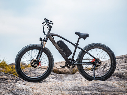 LANKELEISI MG740PLUS