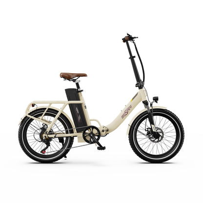 ONESPORT OT16-2 20" Folding Electric Commuter Bike 250W Motor 48V 17Ah Battery Support APP