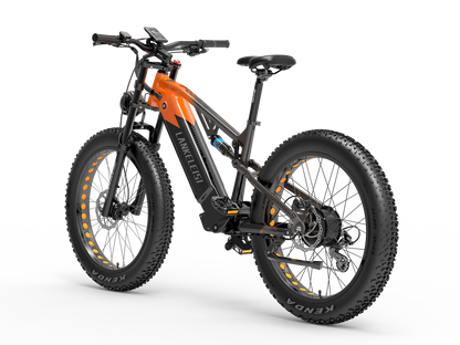 Lankeleisi RV800PLUS