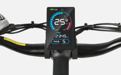 Pantalla LCD SAMEBIKE