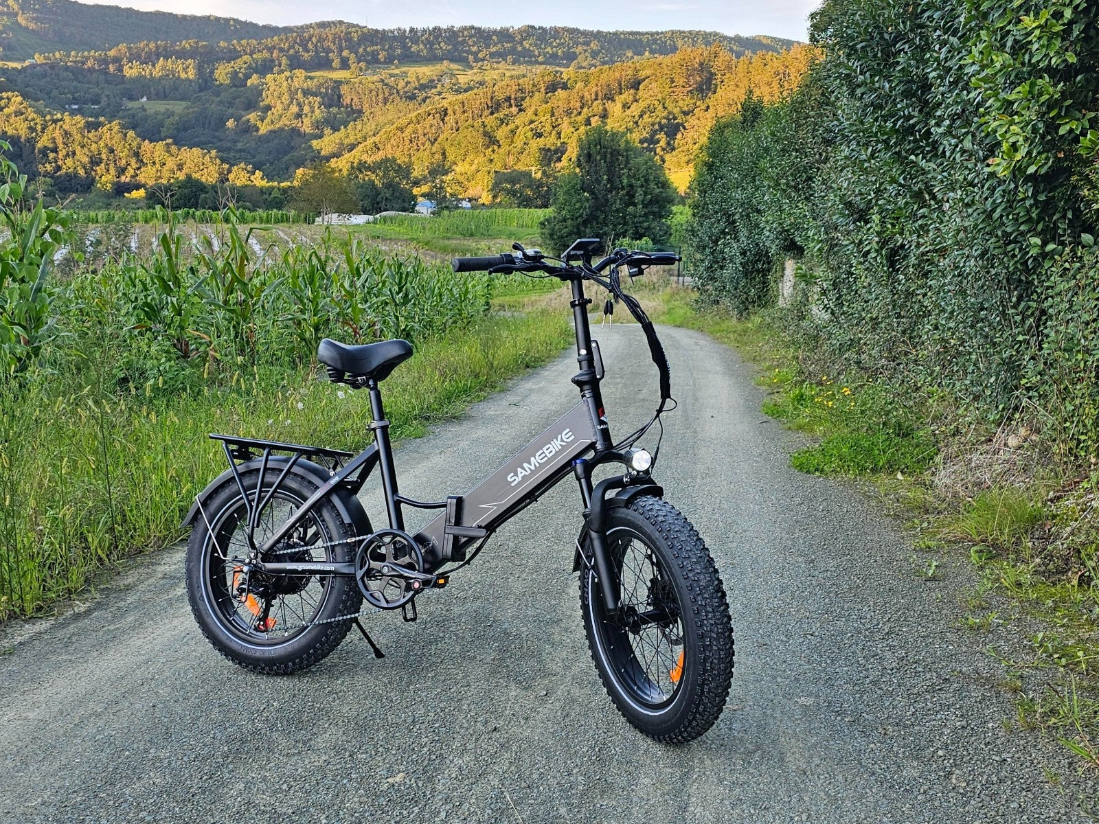 LOTDM200-II Bicicletta elettrica pieghevole con telaio basso