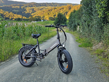 LOTDM200-II Bicicletta elettrica pieghevole con telaio basso