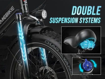 LOTDM200-II Bicicletta elettrica pieghevole con telaio basso