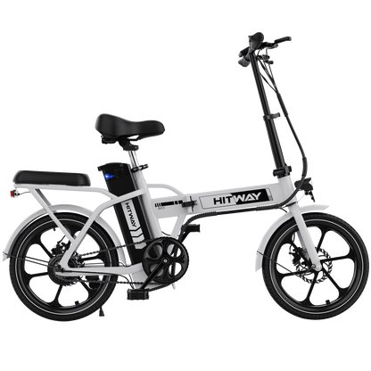 BK5S Folding Electric Bike