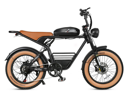 M20 1000W Electric Bike