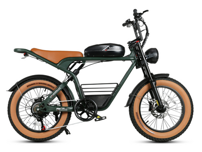 M20 1000W Electric Bike